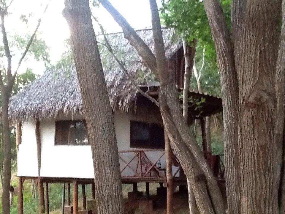 Tuani Ecolodge Tola Dış mekan fotoğraf