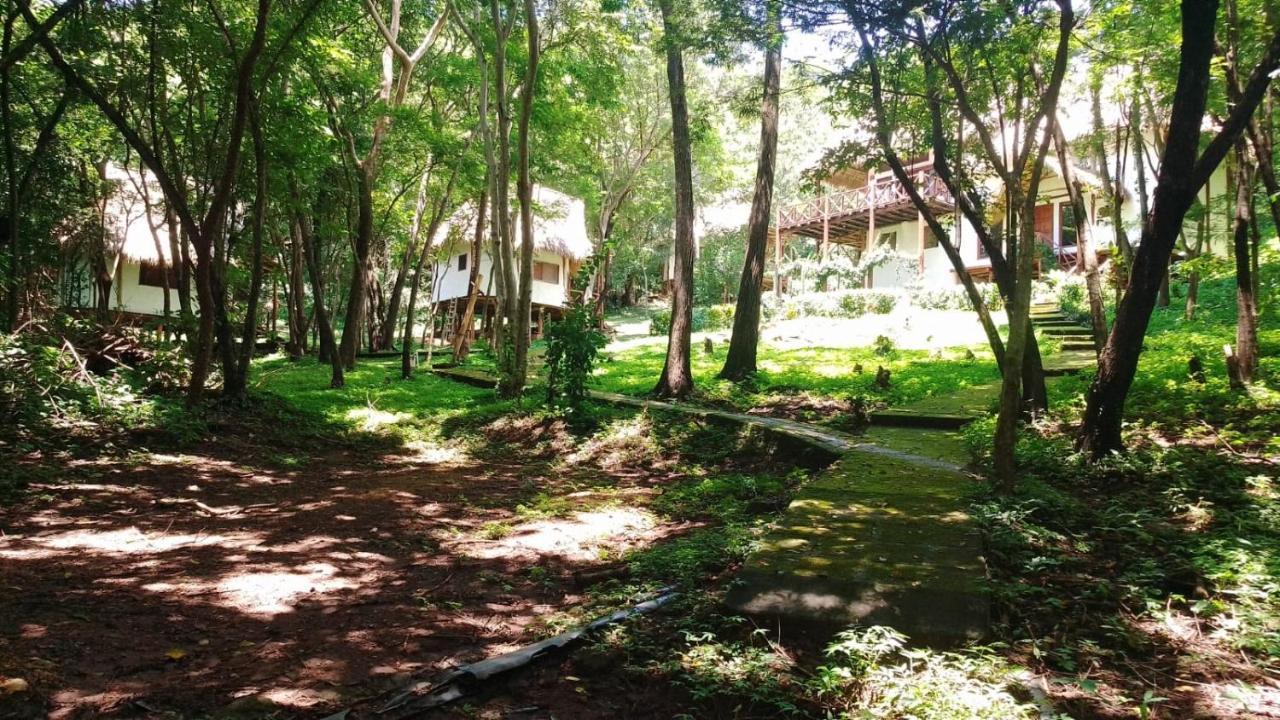 Tuani Ecolodge Tola Dış mekan fotoğraf